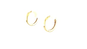 14k Yellow Gold Petite Polished Round Hoop Earrings
